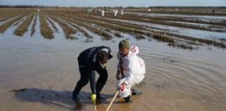 Spagna, sale a 223 bilancio alluvioni. Re Felipe torna a Valencia