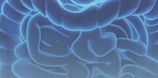 Stop ‘Far West’ probiotici, focus esperti alla Camera per Ddl