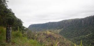 Terremoto in Papua Nuova Guinea, scossa di 6.6 gradi a largo della costa