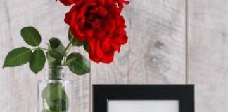 Totò Riina, figlio ricorda padre boss in anniversario morte: pioggia di like e cuori