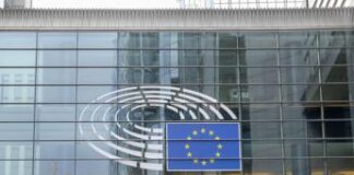 Ue, Sberna: “Green deal proceda con cautela, no a compromettere imprese”