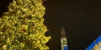 Vicenza, in piazza dei Signori l’albero di Natale e i palazzi si accendono con i colori di Faber Aura Eventi a Vicenza