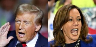 Trump e Harris, elezioni Usa si decidono in 7 Stati: sondaggi e scenario harris trump