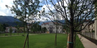 Natale a Bassano del Grappa, Pista del ghiaccio nel brolo di Palazzo Bonaguro pista ghiaccio bassano