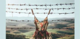 “Il vestito a fiori”, l’ex sindaco di Valdagno Acerbi presenta il suo primo romanzo al Centro Proti Giancarlo Acerbi