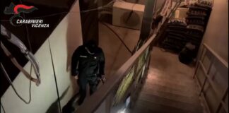 Coltivazione di marijuana scoperta in un capannone industriale a Camisano Vicentino Coltivazione di marijuana scoperta in un capannone industriale a Camisano Vicentino