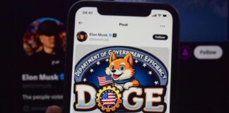 Elon Musk alla guida del Doge, innovazione o gigantesco conflitto di interessi? elon musk