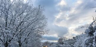 Burrasca artica sull’Italia, gelo e neve in arrivo: le previsioni meteo. -5°C in Pianura Padana burrasca