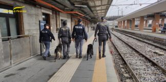 Stazione ferroviaria di Treviso, controlli della Guardia di Finanza: in 6 mesi fermati 26 assuntori di droga stazione ferroviaria di treviso