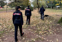 Thiene, carabinieri sequestrano hashish nascosto nei pressi dell’autostazione thiene hashish carabinieri cane antidroga
