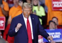 Vittoria Trump, il centrodestra veneto esulta. “Vittoria del popolo contro i poteri forti della sinistra”. Camani (Pd) “Una sfida da cogliere” trump, le reazioni dei veneti