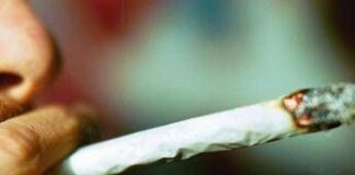 Cannabis, potenza in aumento: 5 cose da sapere su rischio psicosi