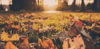 Capodanno con il sole, poi torna la pioggia: le previsioni meteo