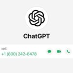 ChatGPT su WhatsApp: come chattare gratuitamente con l’IA