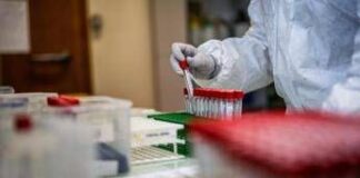 Covid, con variante Nimbus lieve aumento casi in Europa: incidenza può crescere