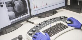 Da virus ad alleato contro il cancro, la scoperta dell’Università di Bologna