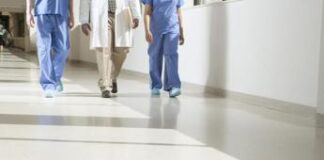 Ddl Lavoro, Ordini professioni: “Bene permessi nell’esercizio proprie funzioni”