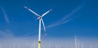 Energia, Federmanager: Energy transition manager figura chiave per transizione ‘giusta’