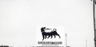 Eni, la vera storia del cane a sei zampe