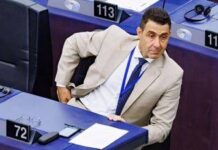Europarlamento, il generale Vannacci in Ue con l’AfD: destra ‘trina’ anche in Italia