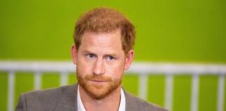 Harry e ‘Il principe perduto’: nuovo documentario che mette in crisi il rapporto con William
