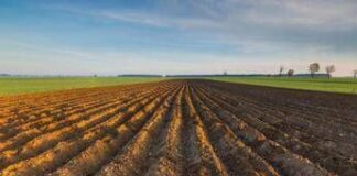 Ismea, riparte ‘Generazione Terra’, 120 mln per giovani agricoltori nel 2026