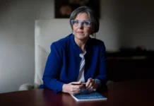 Bassano del Grappa, Pd: “Il Comune abbatte pini: scelte troppo radicali” bassano pini