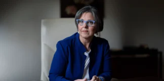 Bassano del Grappa, Pd: “Il Comune abbatte pini: scelte troppo radicali” bassano pini