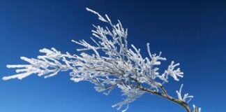 Mezza Italia colpita dal maltempo, gelate e pioggia sul Natale: il meteo