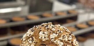 Natale, Panettone: da Nord a Sud ecco proposte innovative Maestri Accademia lievito madre