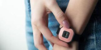 Natale, anche Consorzio Parmigiano Reggiano sceglie WinLet come omaggio per i dipendenti