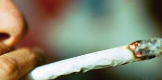 Nuovo codice della strada, cannabis e fumo passivo: ecco cosa captano i test