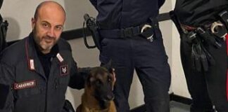 Omicidio Roberto Guerrisi, ritrovata l’arma del delitto grazie al fiuto del cane Cooper