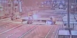 Portuale morto a Genova, guidatore ralla positivo alla cannabis