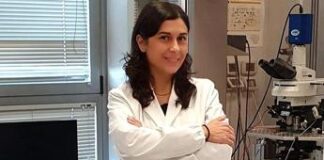 Ricerca: scoperto potenziale trattamento per autismo e sindrome X fragile