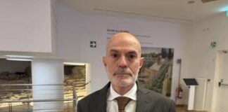 Ricozzi (Osservatorio Eurispes-Enpam): “Burnout per 50% operatori”