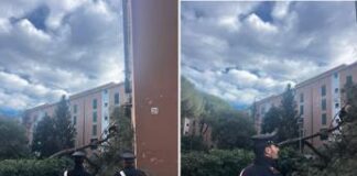 Roma, albero cade su edificio a San Basilio: rotta tubatura gas