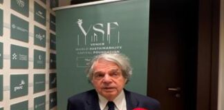 Sostenibilità, Brunetta (Vsf): “Venezia va salvata anche dal punto di vista economico”