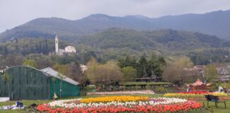 Oasi Rossi di Santorso: viaggio nella natura tra farfalle tropicali, fiori, piante e animali Un'aiuola di tulipani all'interno dell'Oasi Rossi