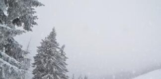 Vigilia di Natale con pioggia e neve in tre regioni, previsioni meteo