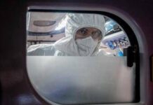 Virus Nipah in Europa e rischi contagio, cosa dice l’Ecdc e i consigli per chi viaggia