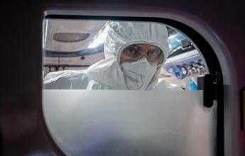 Virus Nipah in Europa e rischi contagio, cosa dice l’Ecdc e i consigli per chi viaggia