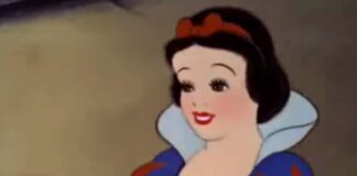 Vissero felici e contente? Studio svela rischi salute principesse Disney