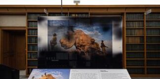 ‘World Unseen’ a Roma, esposizione che ridefinisce esperienza fotografica