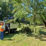 Borgo Casale, FdI contro l’abbattimento degli alberi: Rucco e Aldighieri attaccano Spiller. “Serve trasparenza, non ruspe improvvise” Alberi in abbattimento a Vicenza a Borgo Casale (foto d'archivio)