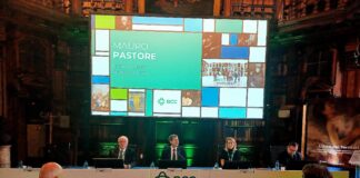 BCC Arte&Cultura, coinvolgere le comunità locali alla scoperta e alla valorizzazione del patrimonio artistico e culturale bcc arte cultura