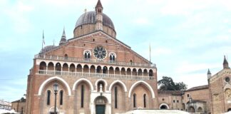 Gdf Padova: sequestrati 3 milioni di accessori per smartphone e 68 mila integratori irregolari padova sequestro