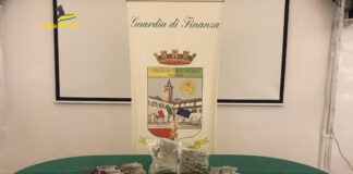 Grisignano di Zocco, trovato con oltre mezzo chilo di marijuana: arrestato marijuana grisignano di zocco