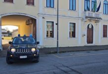 La Guardia di finanza di Vicenza sequestra 22 tonnellate di miele “biologico” contraffatto. Indagato imprenditore Guardia di finanza di Vicenza sequestra 22 tonnellate di miele contraffatto