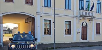 La Guardia di finanza di Vicenza sequestra 22 tonnellate di miele “biologico” contraffatto. Indagato imprenditore Guardia di finanza di Vicenza sequestra 22 tonnellate di miele contraffatto